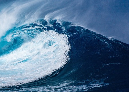 春蕾報(bào)2023年(nián)